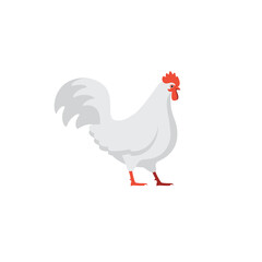 Chicken character is isolated on white background