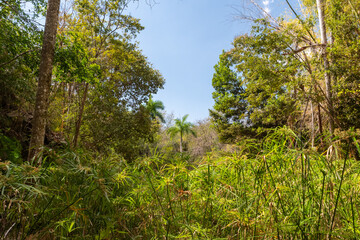 Obraz na płótnie Canvas Hike near Trinidad along the Rio Guanayara and through the fields to the waterfalls