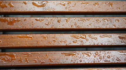 The wet bench after the rainnying day