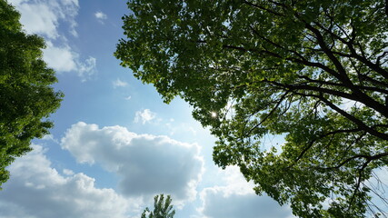 Obraz premium The beautiful sky view with the white clouds and blue sky as background in summer