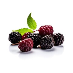 Boysenberries isolated on white background (generative AI)