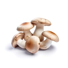 Mushrooms isolated on white background (generative AI)