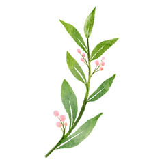 Watercolor Foliage Plants Clipart