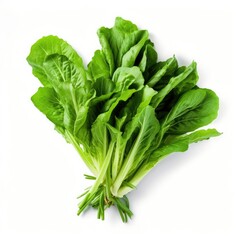 Chicory Greens isolated on white background (generative AI)