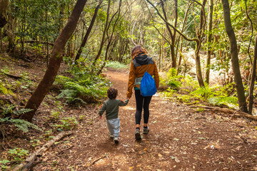 Mother and son walking on the path in the mossy tree forest of Garajonay National Park, La Gomera, Canary Islands. On the excursion to Las Creces