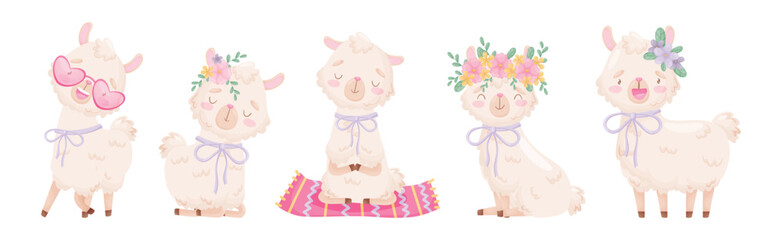 Cute Llama or Alpaca Fluffy Character with Pretty Snout Vector Set