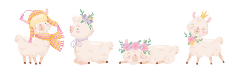 Cute Llama or Alpaca Fluffy Character with Pretty Snout Vector Set