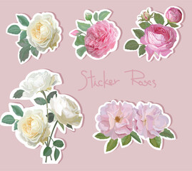 Set stickers Roses romantic elements ,vector illustration
