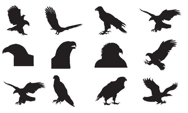 Eagle silhouette for of 12 design