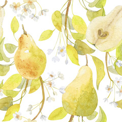 Watercolor seamless pattern with garden pear illustrations. Watercolor hand-draw branches with flowers, leaves and pear fruits on white background. Organic healthy food, backgrond for uou design.