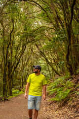 Man walking on a trek in Garajonay National Park, La Gomera, Canary Islands. The path in the forest of moss trees