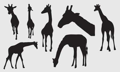 Giraffe vector illustration Template