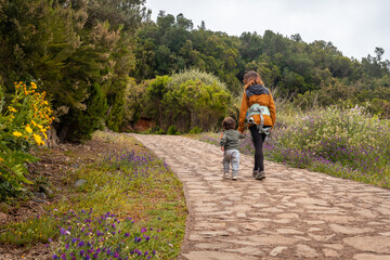 Fototapeta premium Climbing path to the top of Garajonay in La Gomera, Canary Islands