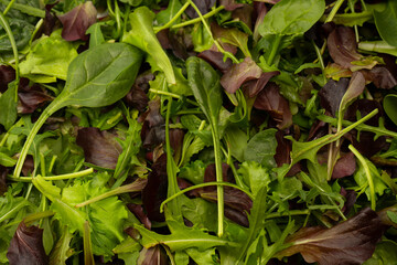 Fresh mix of salads with edible flowers. Top view.