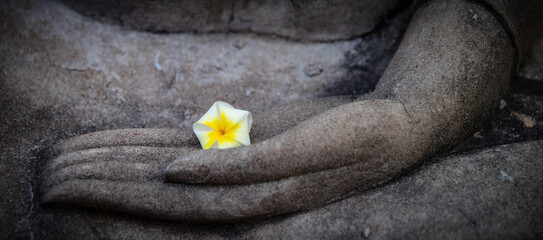 Plumeria flower on ancient hand of buddha statue, Buddhist religion