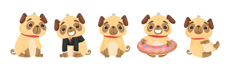 Cute Pug Dog Puppy Engaged in Different Activity Vector Set