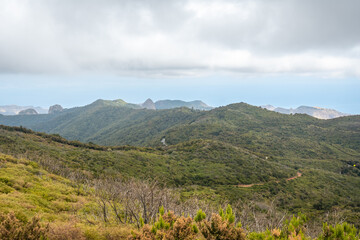 Views from the top of Garajonay in La Gomera, Canary Islands