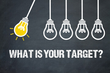 Fototapeta premium What is your target? 
