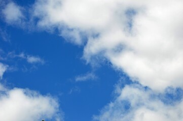 clouds in the sky