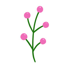 Decorative Berries Plant