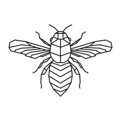 Polygonal Bee. Geometric line animal. Vector illustration.