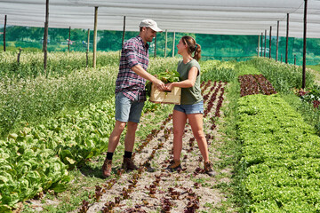Teamwork, agriculture and people in a greenhouse on a farm working together for sustainability...