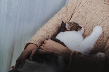Crop cute cat in woman's hug plead with human activity by using one front leg up to woman in brown sweater, looking each other with love feeling of image.