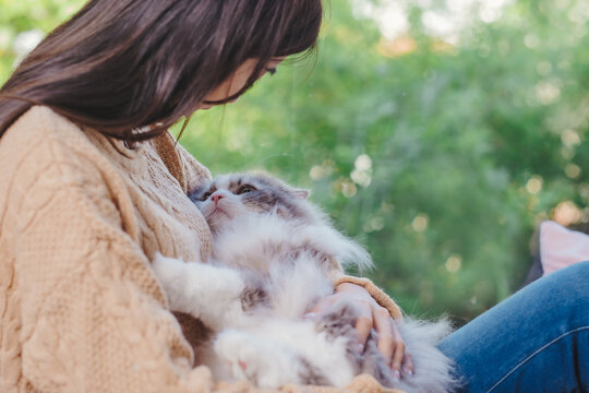 Cute Persian cat in human hug plead with his eyes to onwer beside glass window and green bokek background, they are looking at each other with love feelling.