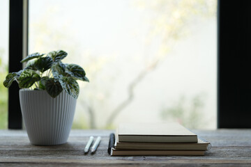 plant pot and notebooks in front of clear windows
