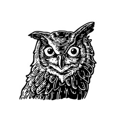 Heads chicken, goose and turkey. Vintage monochrome vector engraving illustration