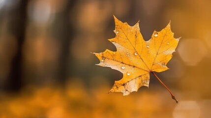 Fototapeta na wymiar Yellow maple leaf close up on blurred background. Generative AI.