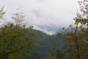 PAESAGGIO MONTANO CON NEBBIA,GIFFONI VALLE PIANA,SUD ITALIA,15 MAGGIO 2023.