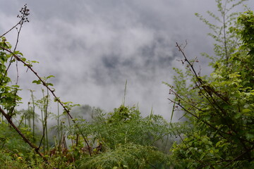 PAESAGGIO MONTANO CON NEBBIA,GIFFONI VALLE PIANA,SUD ITALIA,15 MAGGIO 2023.