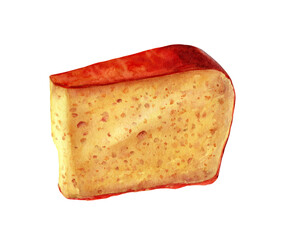 Piece of Leyden cheese isolated on white background. Watercolor illustration.