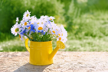 meadow flowers bouquet in yellow watering can on table, natural sunny background. rustic floral...