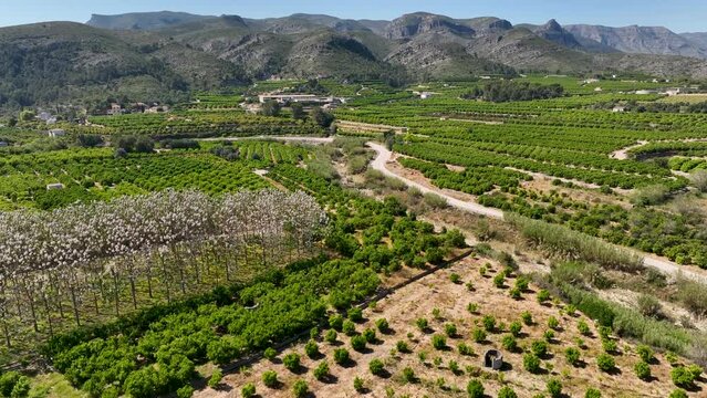 Mountains with cultivated vineyards farmland in Spain