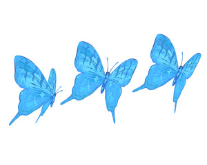 blue butterfly isolated on white