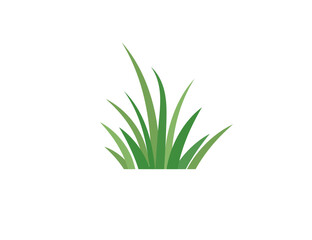 Flat green grass. Gazon. Vector icon. web version.