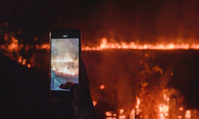 Forest fire being photographed on a phone