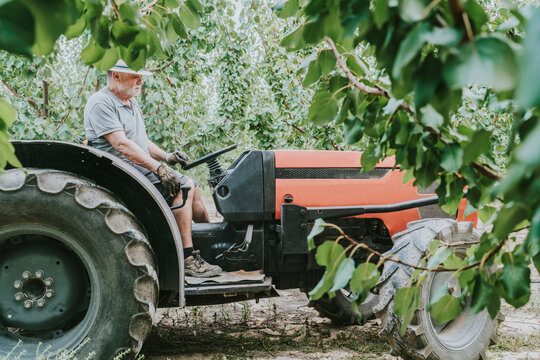 Elderly man driving tractor on farm