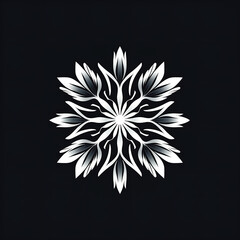 snowflake on black background