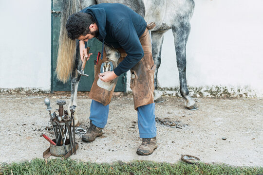 Farrier fixing horseshoe on hoof from horse