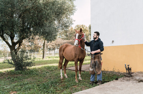 Man holding horse at stable