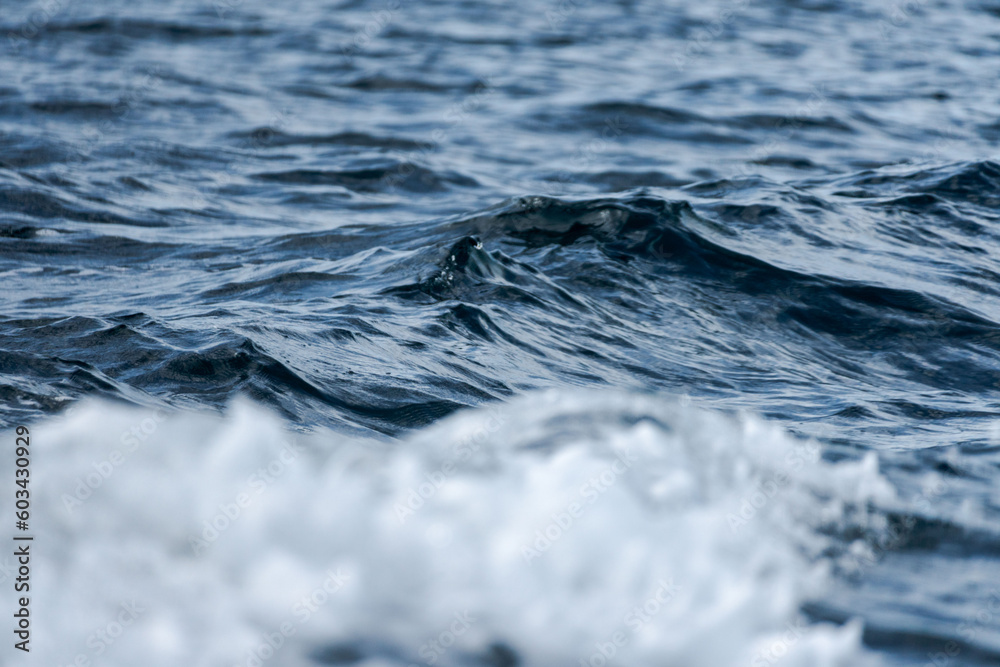 Wall mural slow motion close up of blue ocean water surface