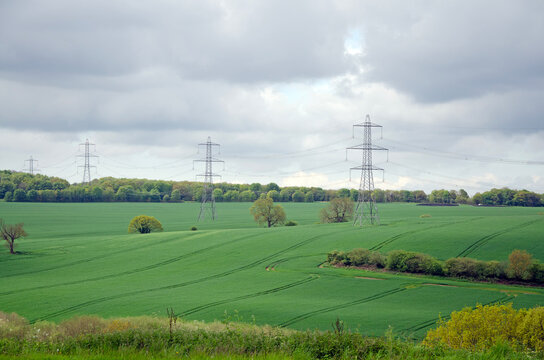 Electricity pylon in a meadow with forest in background
