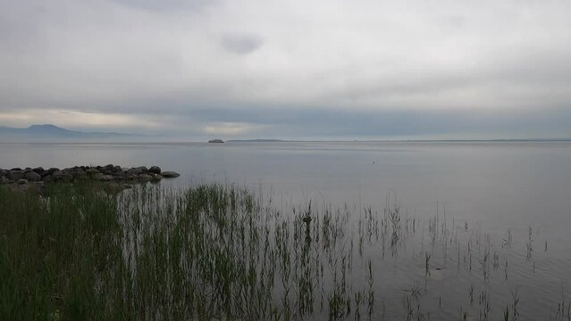 reed on the Lake Garda