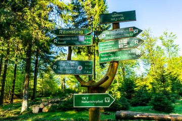 Erste Schritte auf dem Rennsteig zwischen Hörschel und Blankenstein im schönen Frühling -...