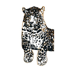 color sketch of leopard with transparent background