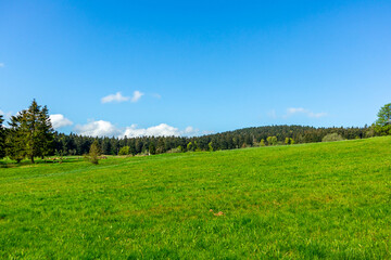 Erste Schritte auf dem Rennsteig zwischen Hörschel und Blankenstein im schönen Frühling -...