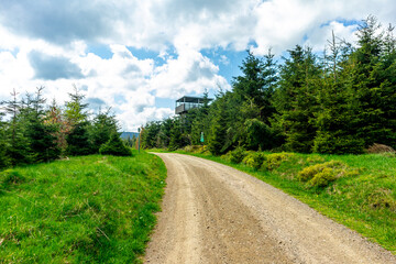 Erste Schritte auf dem Rennsteig zwischen Hörschel und Blankenstein im schönen Frühling -...